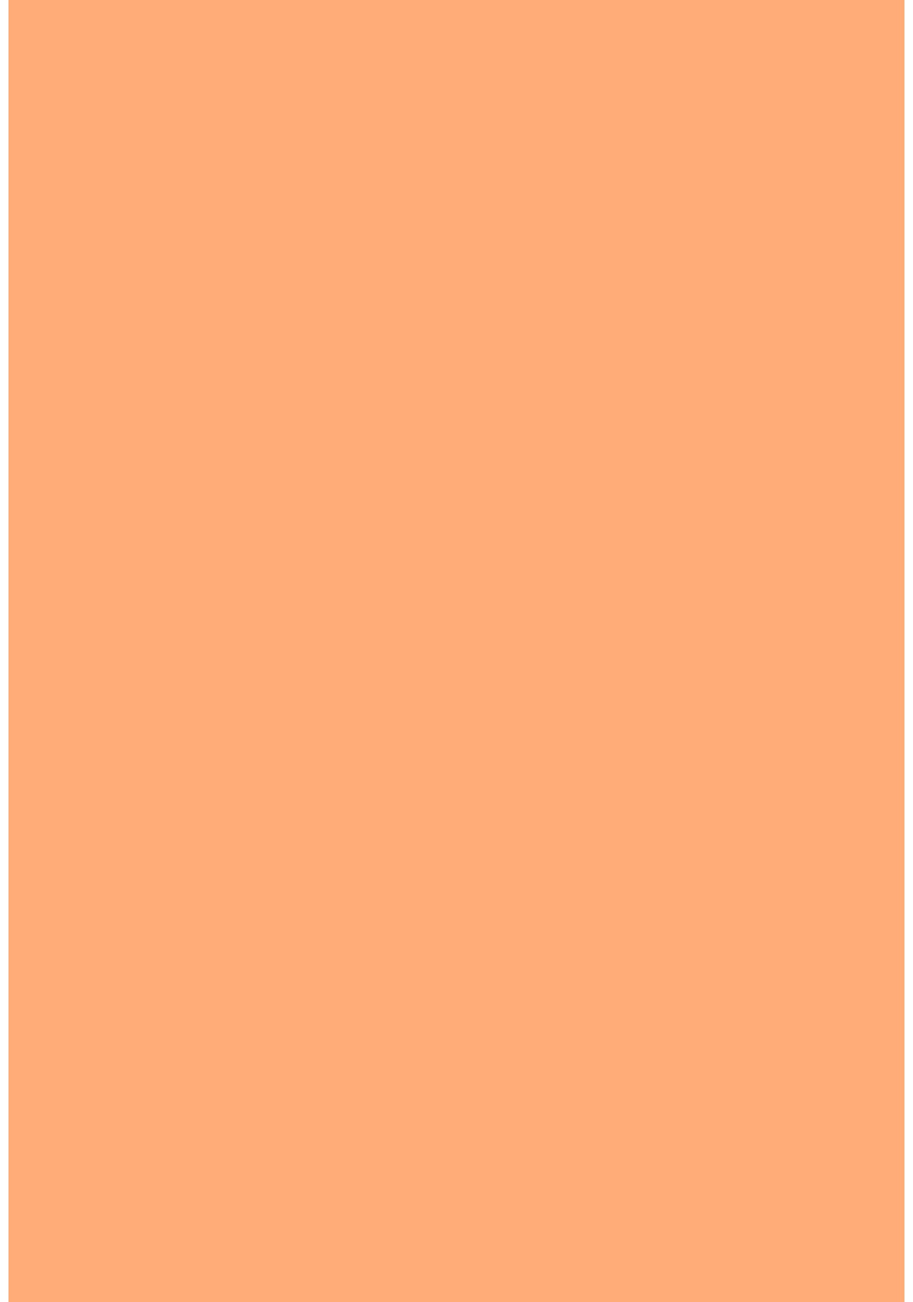 ORANGE PASTEL ELEGANCE SIGNATURE